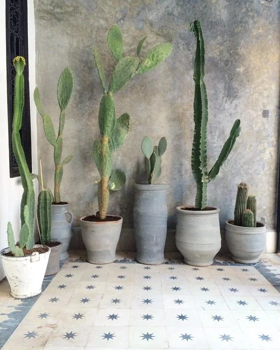 wabi sabi